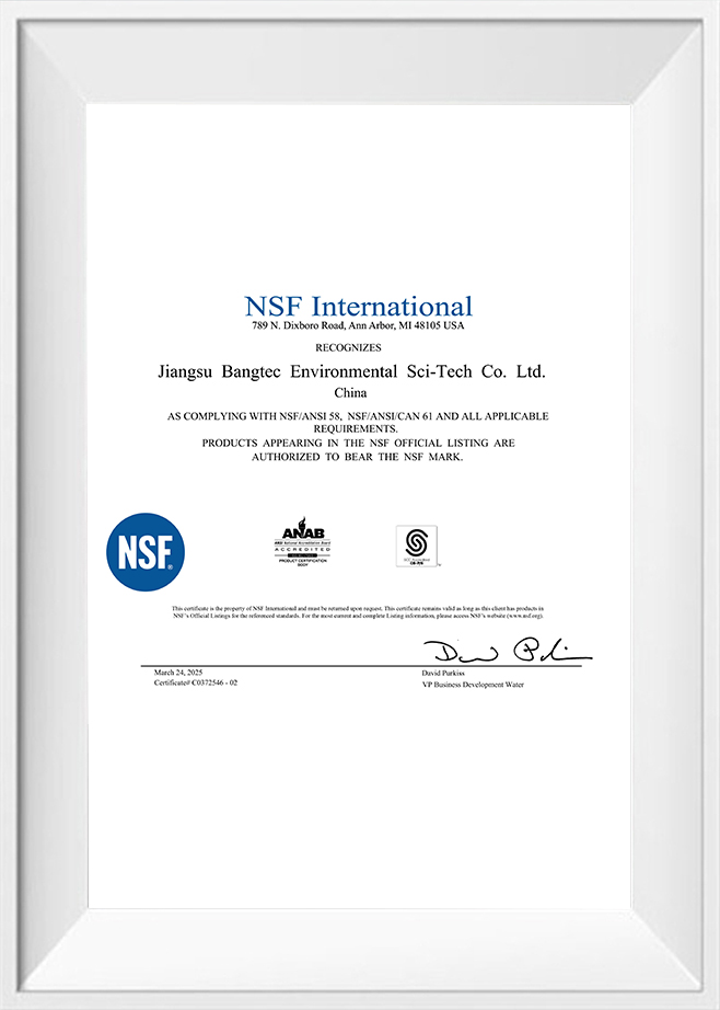 NSF Antarabangsa