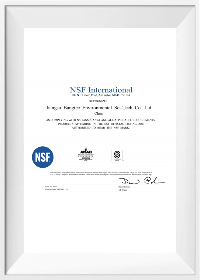 NSF Antarabangsa